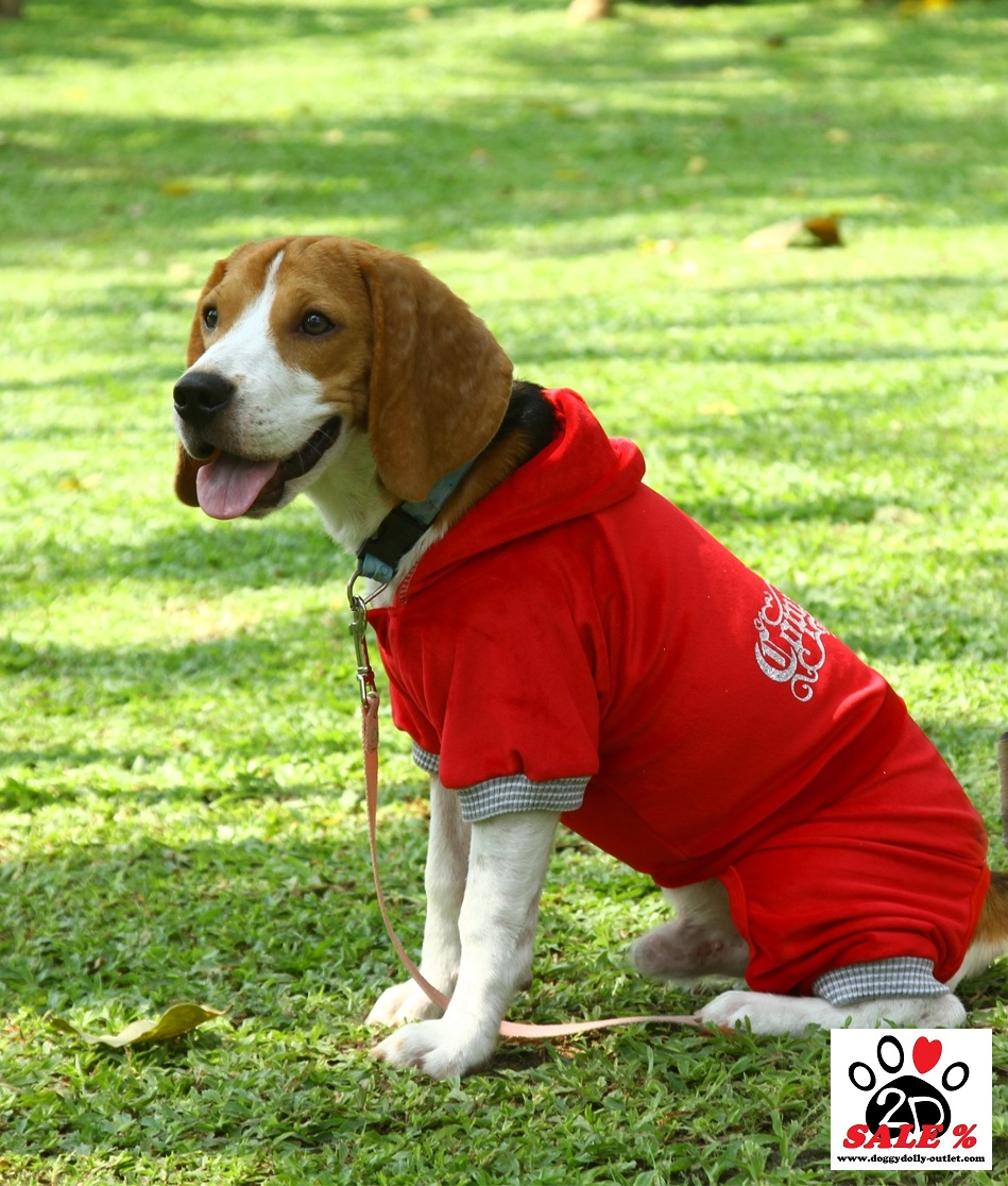 DoggyDolly DRF024 Jogginganzug für Hunde rot