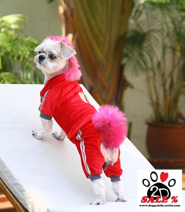 DoggyDolly DRF028 Jogginganzug für Hunde VIP rot