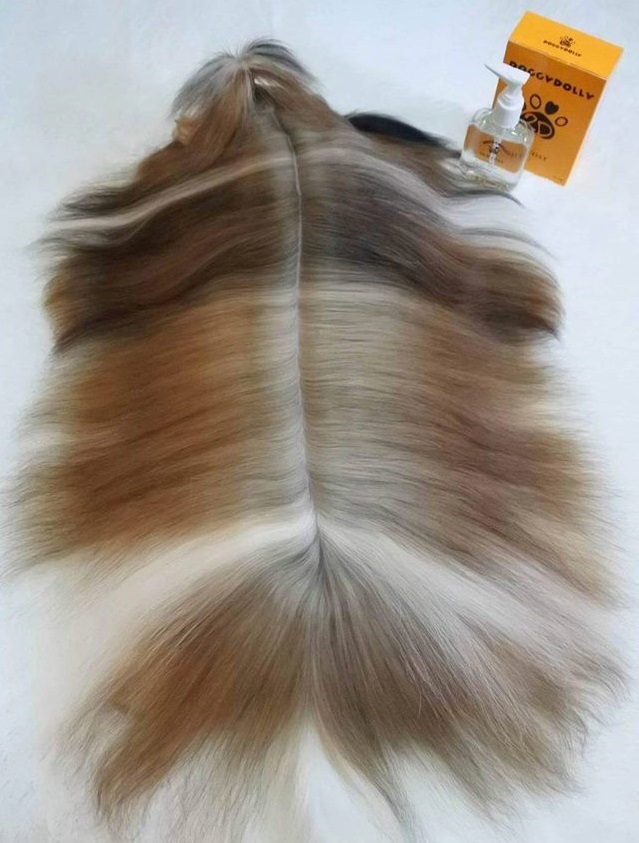 Valentinstag - DoggyDolly SILK COAT Fellpflege für Hunde PS001