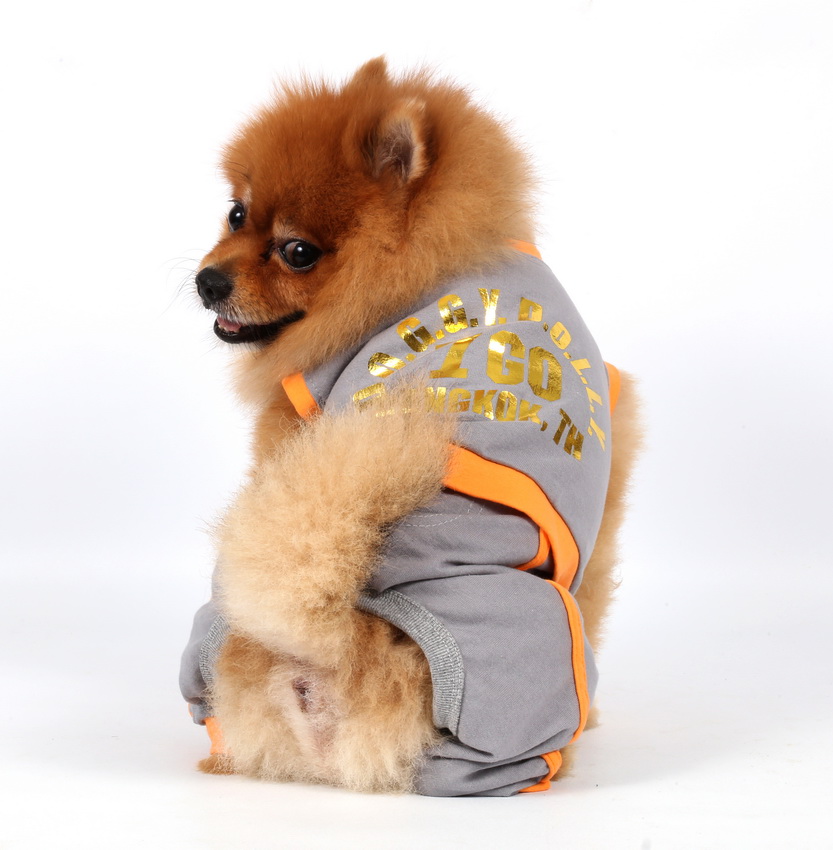 DoggyDolly C279 Jogginganzug für Hunde grau.orange