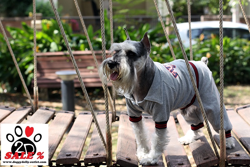 DoggyDolly DRF003 Jogginganzug für Hunde grau