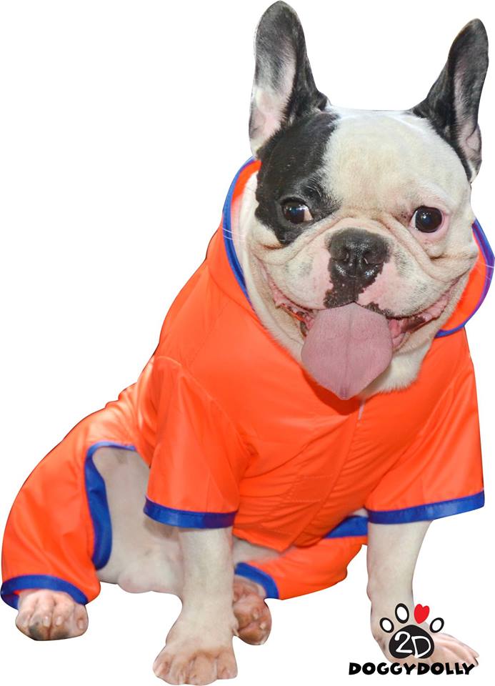 DoggyDolly DR061 Regenoverall für Hunde orange