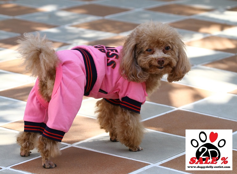 DoggyDolly DRF031 Jogginganzug für Hunde rosa