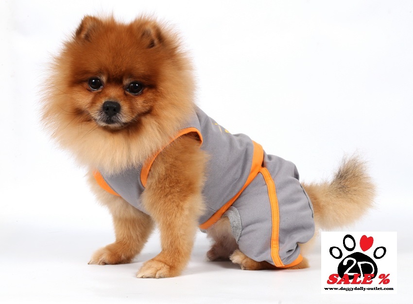 DoggyDolly C279 Jogginganzug für Hunde grau.orange