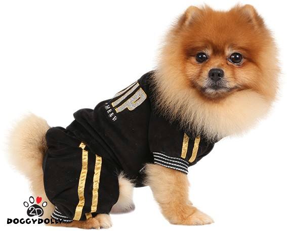 DoggyDolly DRF010 Jogginganzug für Hunde VIP schwarz