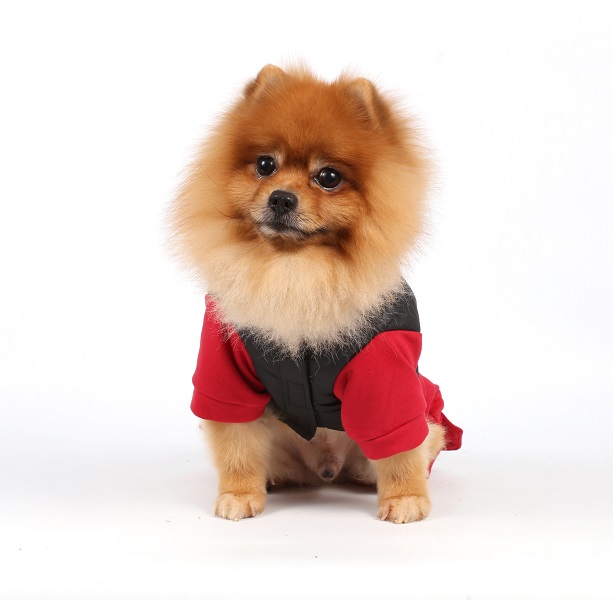 DoggyDolly W108 Outdoor Jogginganzug für Hunde schwarz-rot