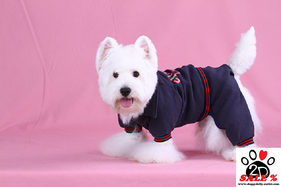 DoggyDolly DRF029 Jogginganzug für Hunde blau