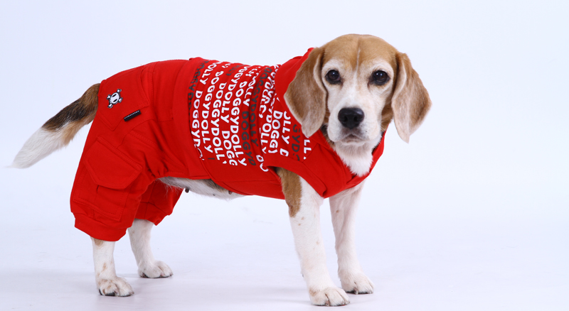 DoggyDolly DRF013 Jogginganzug für Hunde rot