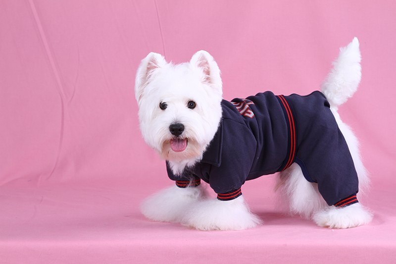 DoggyDolly DRF029 Jogginganzug für Hunde blau