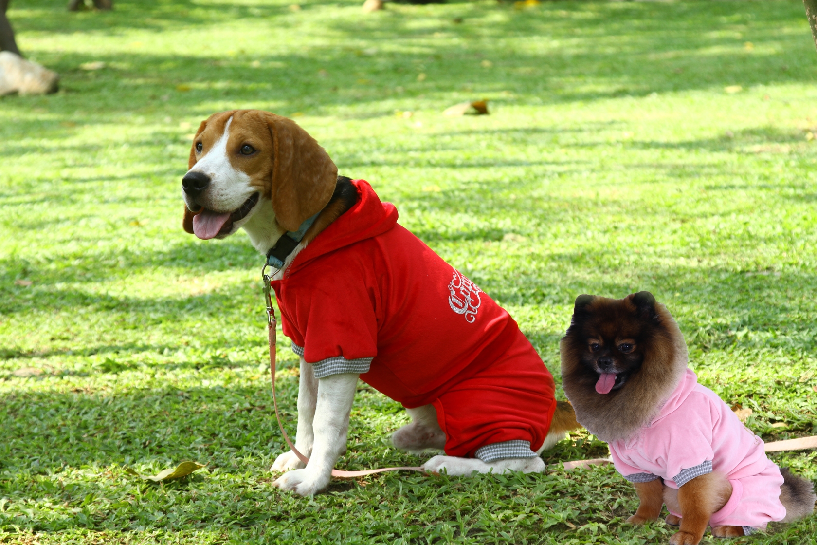 DoggyDolly DRF024 Jogginganzug für Hunde rot