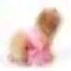 DoggyDolly DT025 Hundekleid TOPMODEL rosa