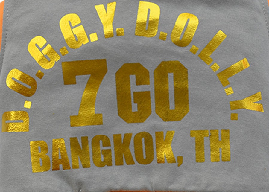 DoggyDolly C279 Jogginganzug für Hunde grau.orange