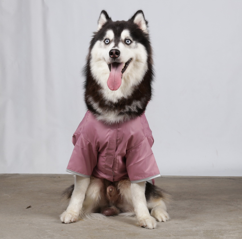 DoggyDolly BIG DOG BD013 Regenmantel für große Hunde rosa