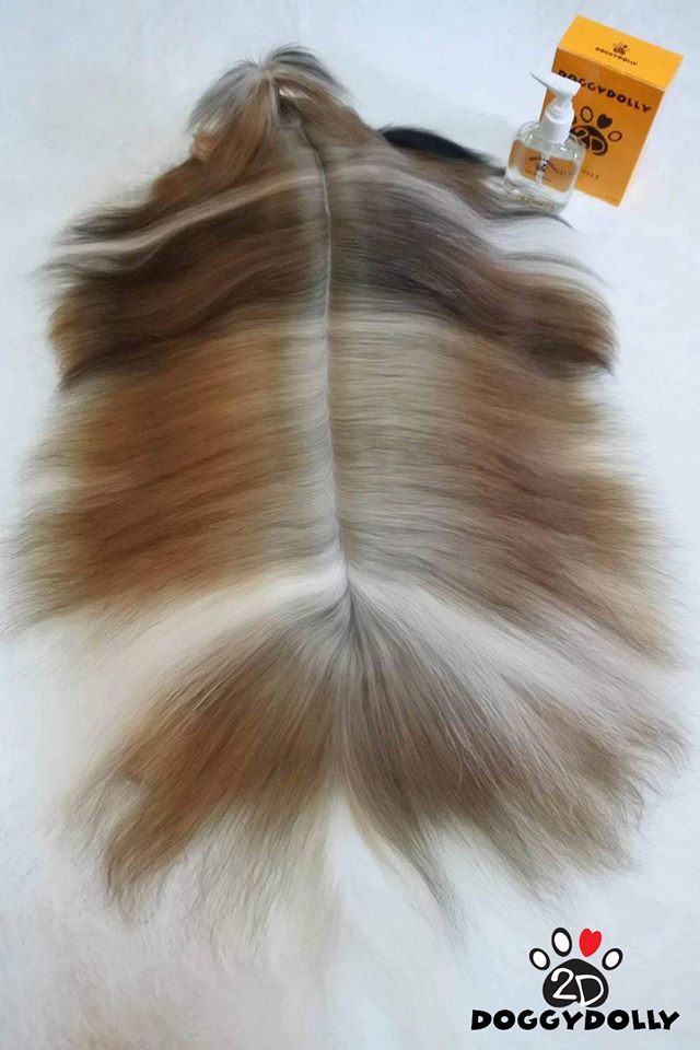 Sommer Special - DoggyDolly SILK COAT Fellpflege für Hunde PS001