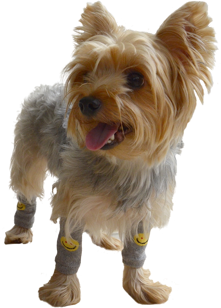 DoggyDolly WM001 Beinwärmer für Hunde Smiley grau