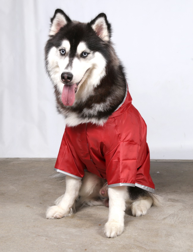 DoggyDolly BIG DOG BD012 Regenmantel für große Hunde rot